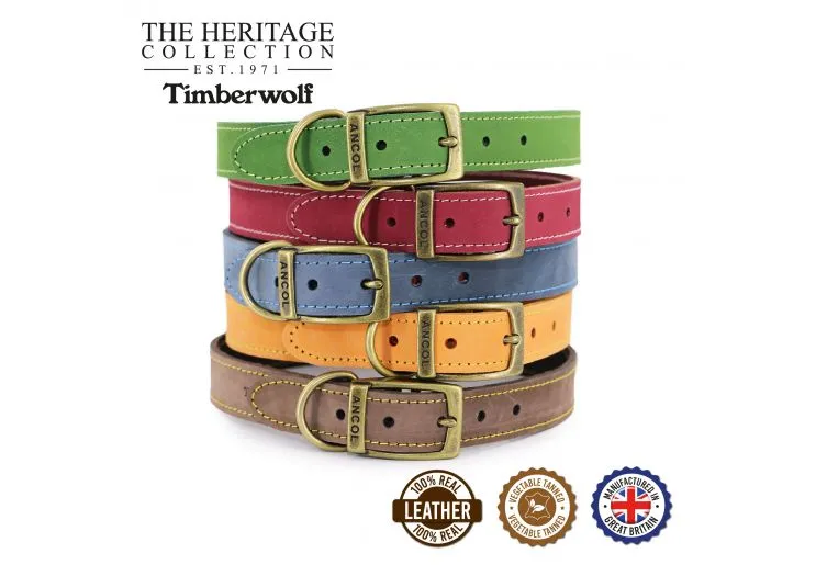 Ancol - Timberwolf Leather Collar - Green - Size 6 (45-54cm)