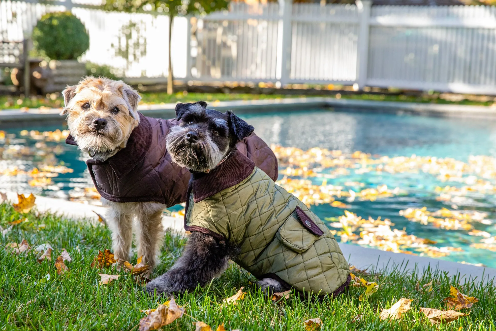 Barn Coat w/Brown Corduroy Collar - 6 Color Options