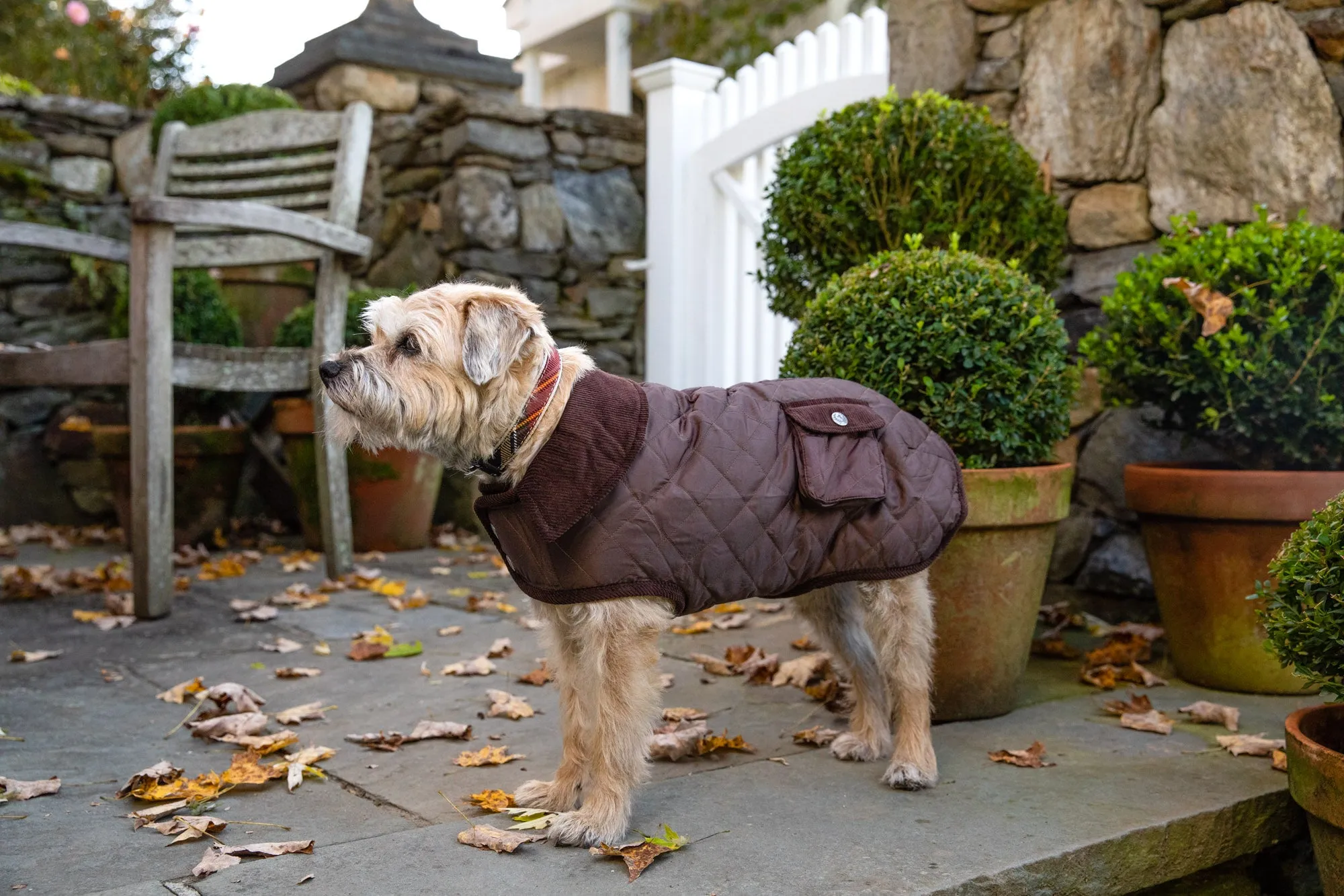 Barn Coat w/Brown Corduroy Collar - 6 Color Options