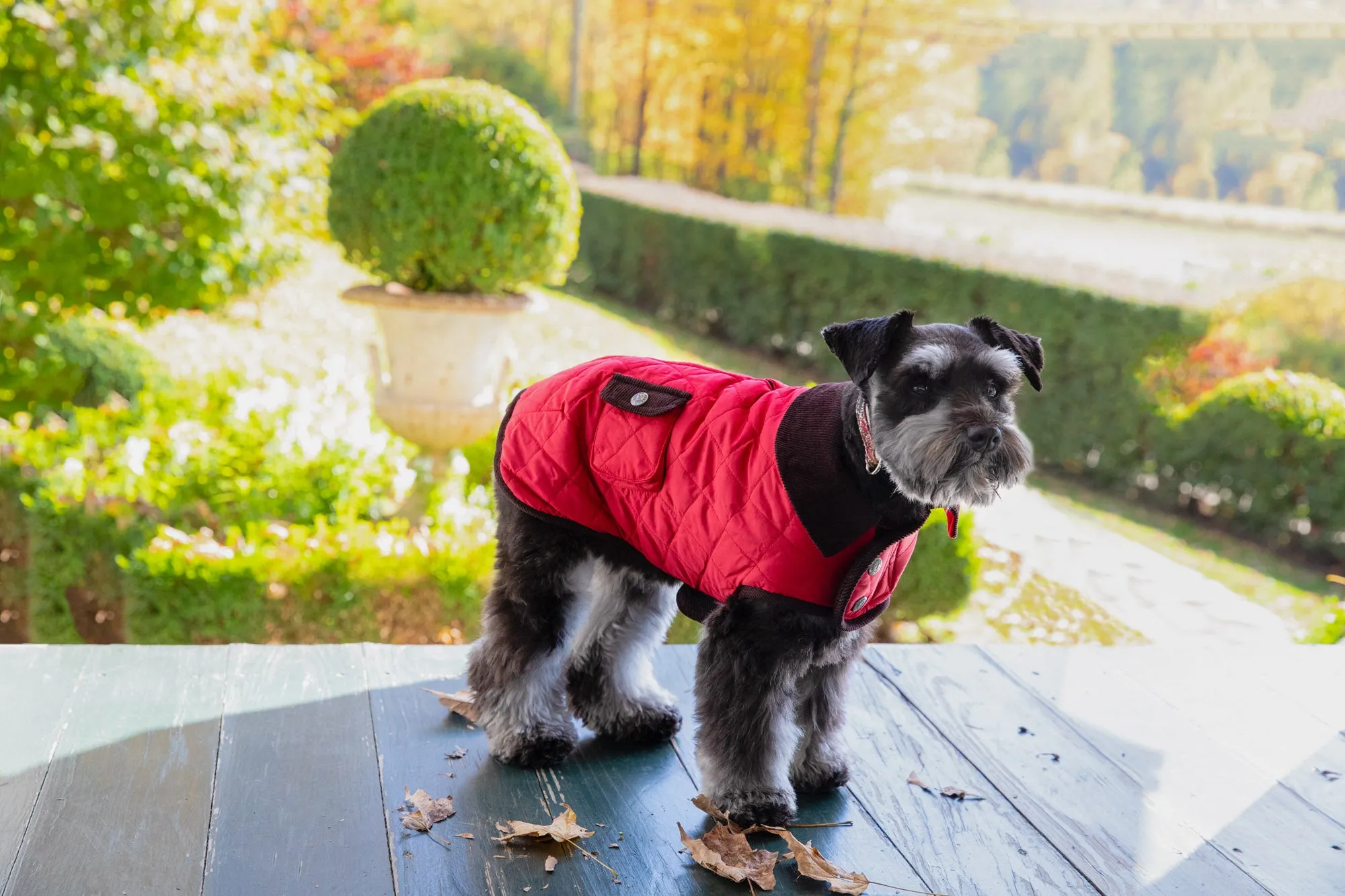 Barn Coat w/Brown Corduroy Collar - 6 Color Options