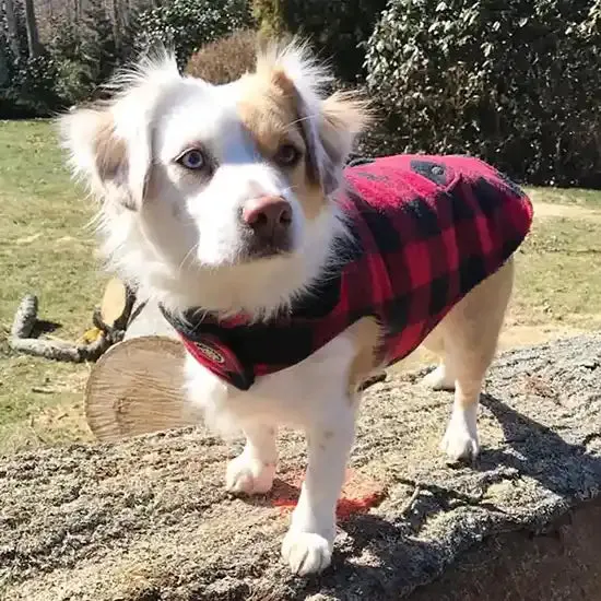 Buffalo Check Fleece Lined Dog Coat