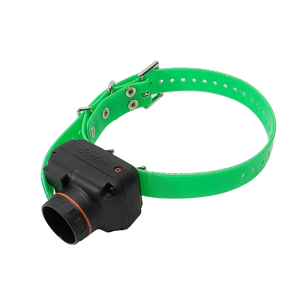 Dogtra T&B Dual Extra Collar