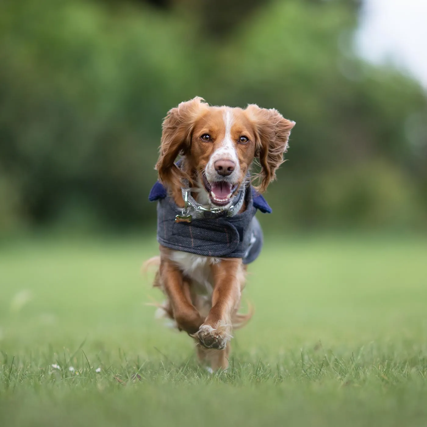 Hugo & Hudson Checked Tweed Jacket