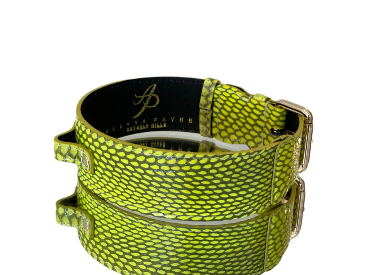 Luxury Pet Fashion Neon Green Snakeskin Collar/Classic Hardware