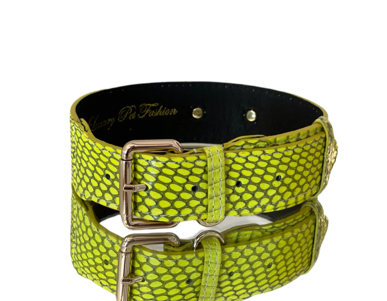 Luxury Pet Fashion Neon Green Snakeskin Collar/Classic Hardware