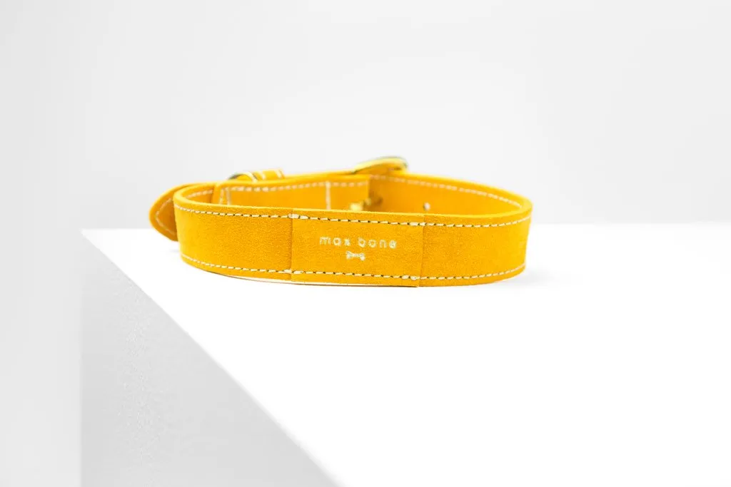 MaxBone Vanessa Dog Collar